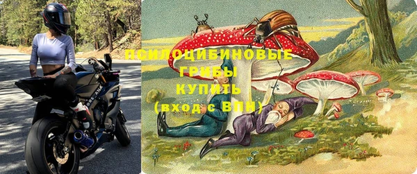 альфа пвп Горняк