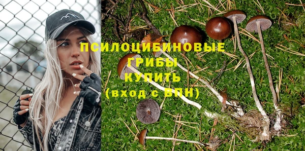 MDMA Premium VHQ Горнозаводск