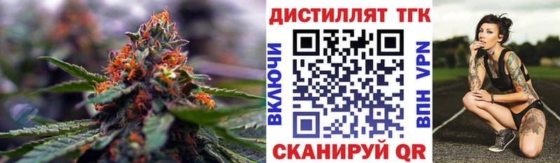 ТГК концентрат  где можно купить   Новоржев 