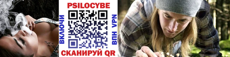 Галлюциногенные грибы ЛСД  ссылка на мегу tor  Новоржев  наркошоп 