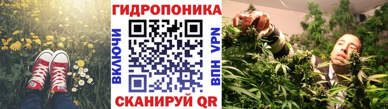 Шишки марихуана AK-47 Новоржев